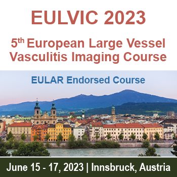EULVIC2023_banner.png